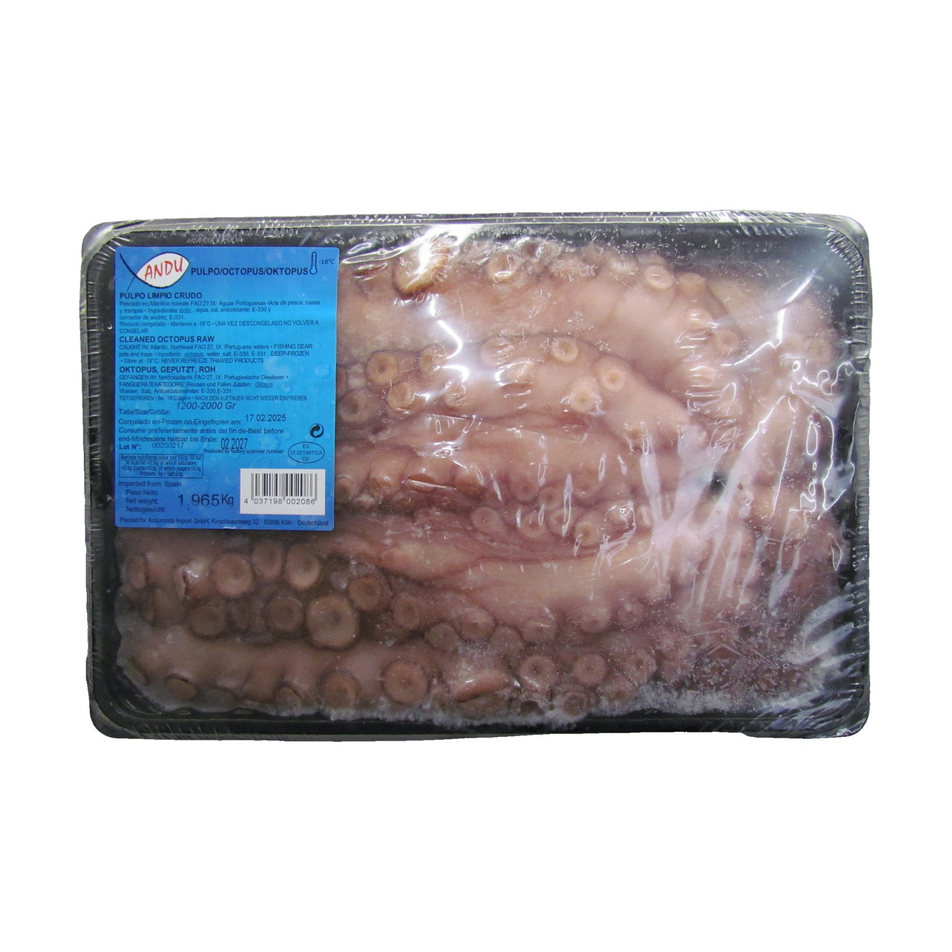 Oktopus Pulpo 1 - 2 kg TK
