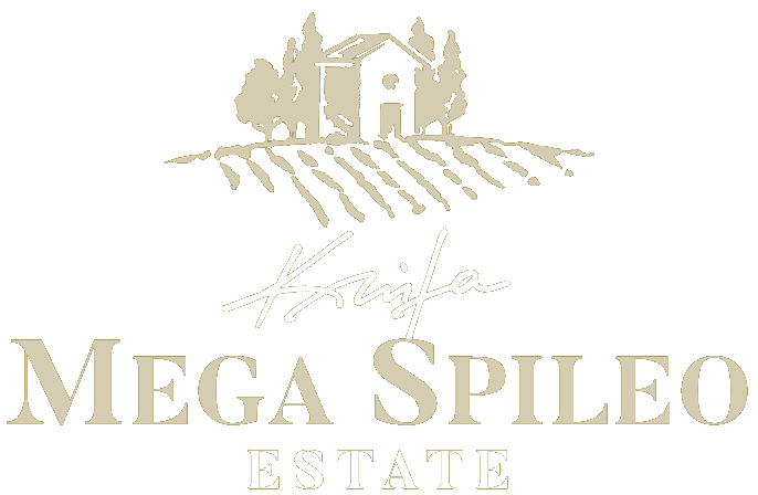 megaspileo